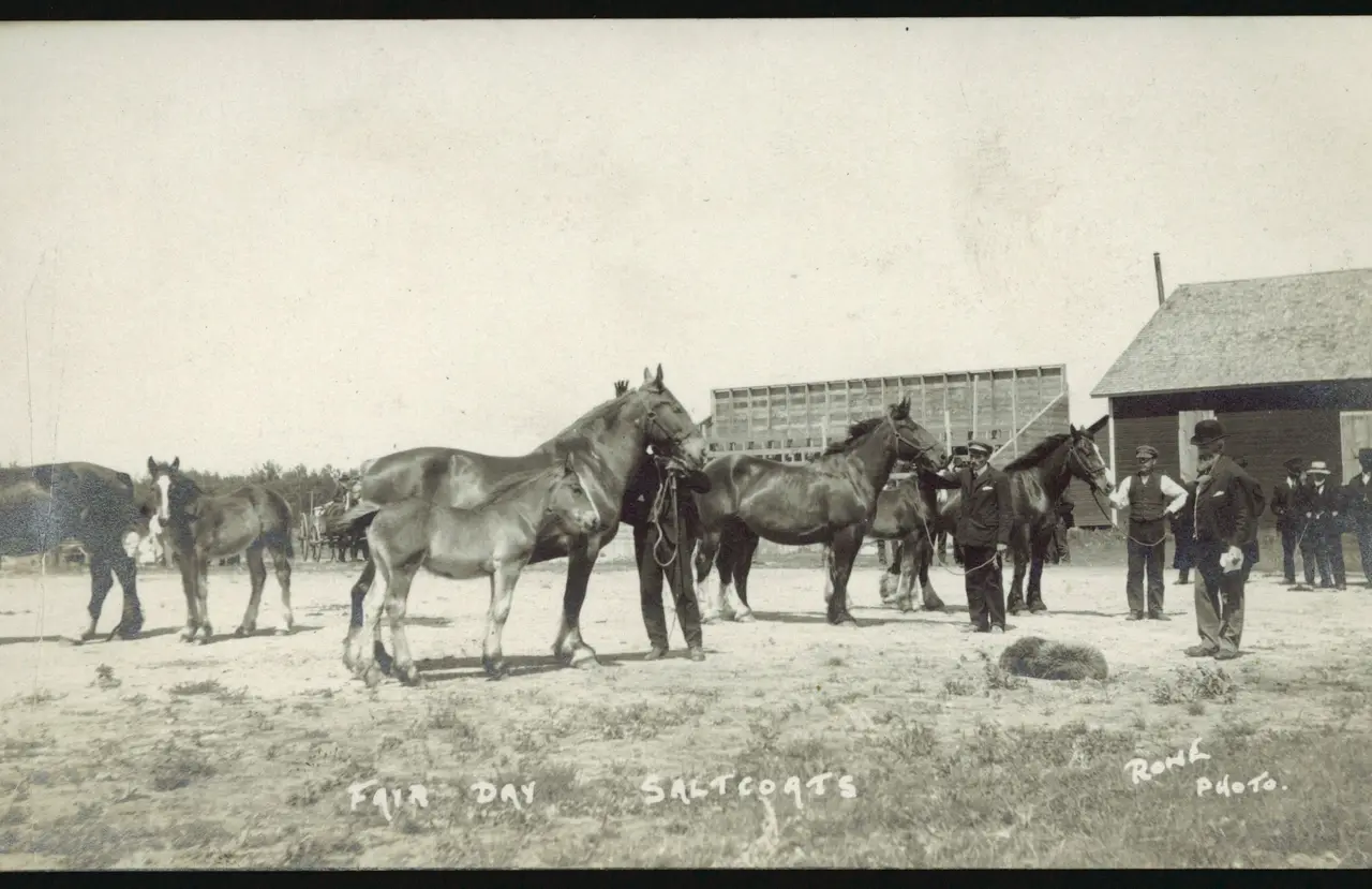 Fair Day, Saltcoats: horses and handlers, about 1910