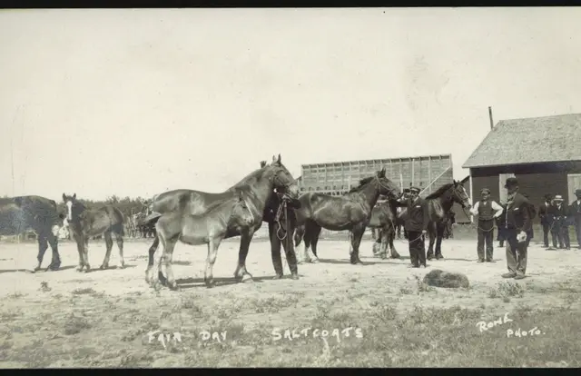 Fair Day, Saltcoats: horses and handlers