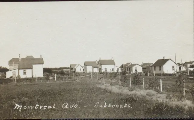 Montreal Avenue houses